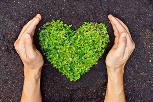 Should your business consider volunteer programs?